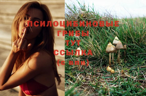 молекула духа Баксан