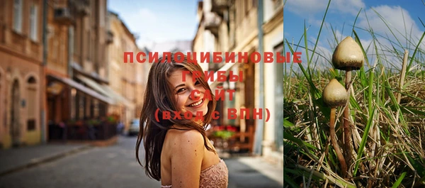 молекула духа Баксан