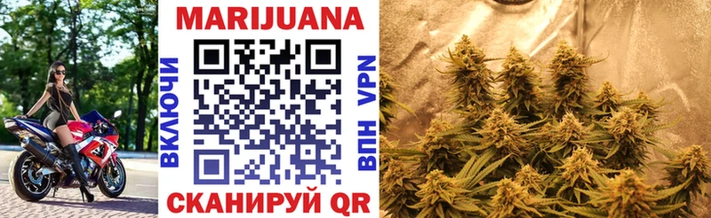 Купить  Ахтубинск  Бошки Шишки ГИДРОПОН 